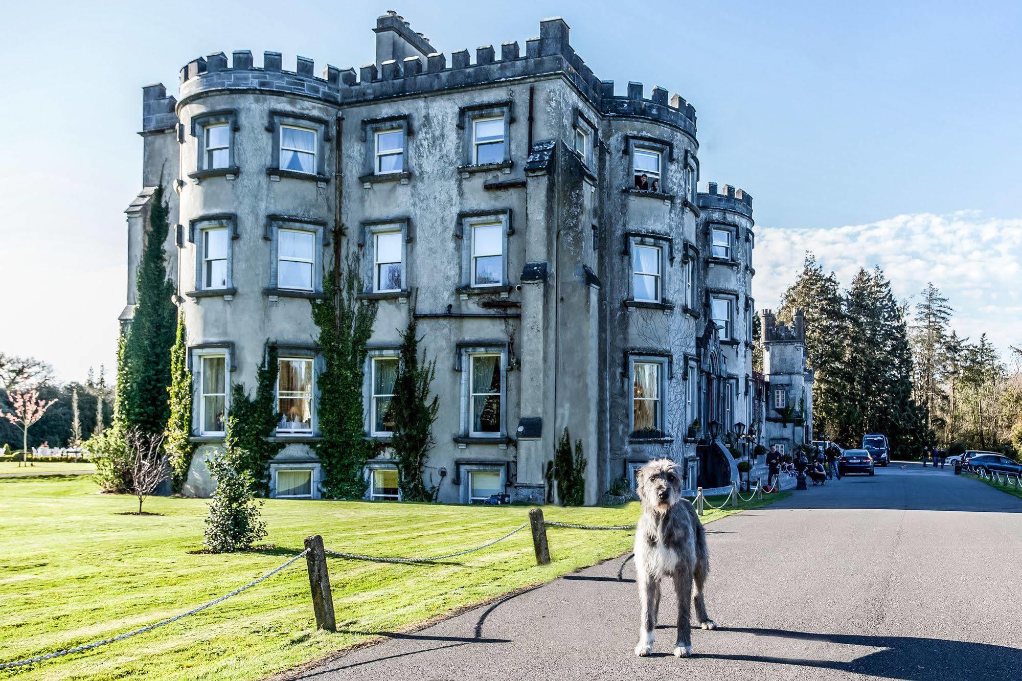 Ballyseede Castle 트롤리 외부 사진